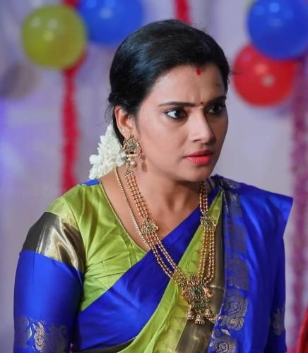 punitha-tamil-serial-actress-hot-11