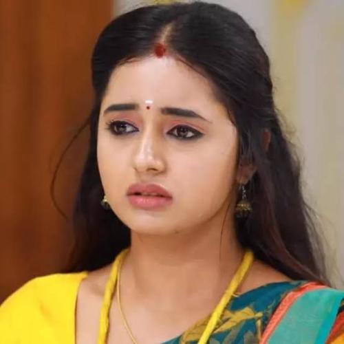 punitha-tamil-serial-actress-hot-6